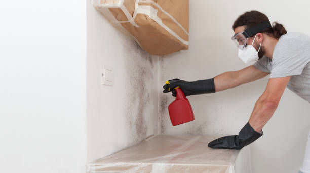 Professional Crawl Space Mold Remediation technician working in Fremont, MI