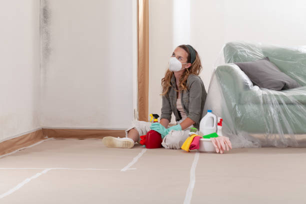 Reliable Crawl Space Mold Remediation contractor in Fremont, MI by Mold Remediation HQ